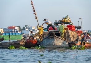 Classic Mekong Delta Tour in 2 Days
