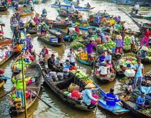 Mekong Delta Tour in 2 Days