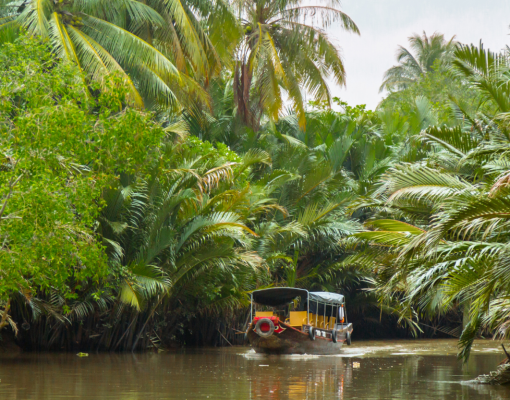 Mekong Delta  Full Day